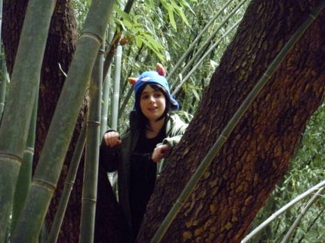 Nepeta in the Bamboo Forest