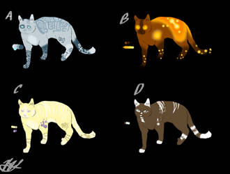 Cat Adoptables 2