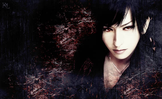 Tora_Black_Velvet