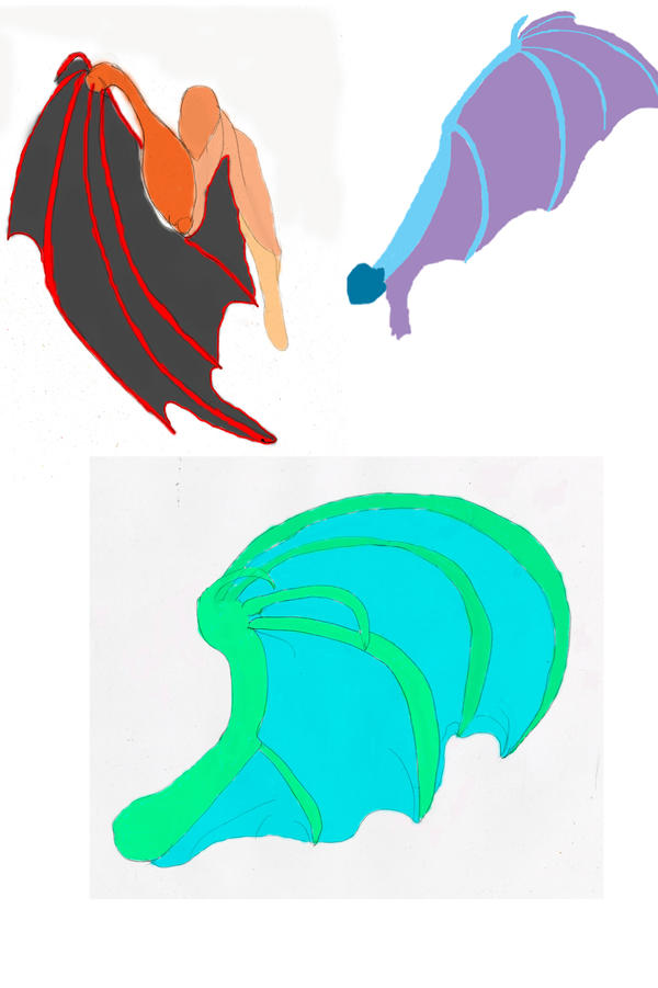 Dragon Wing Gradient DragonWingStudies1 by Prowlpanther on DeviantArt