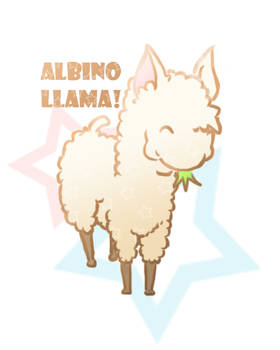 Albino Llama