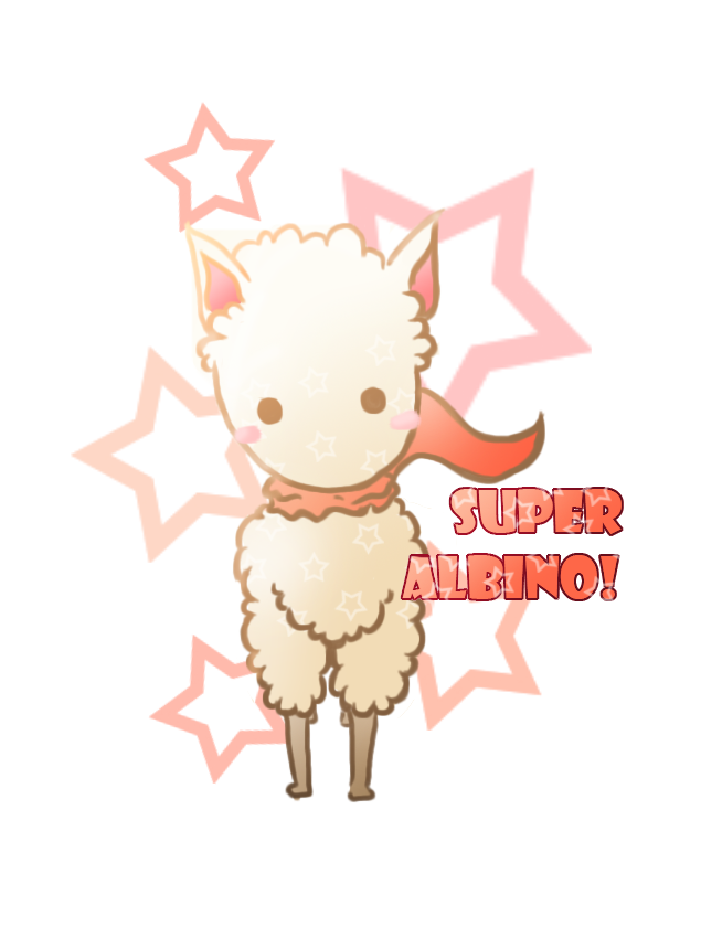 Super Albino Llama