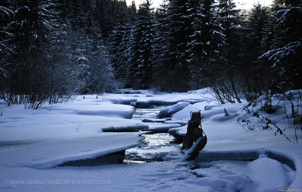 winter water