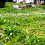 Pillar in Grass