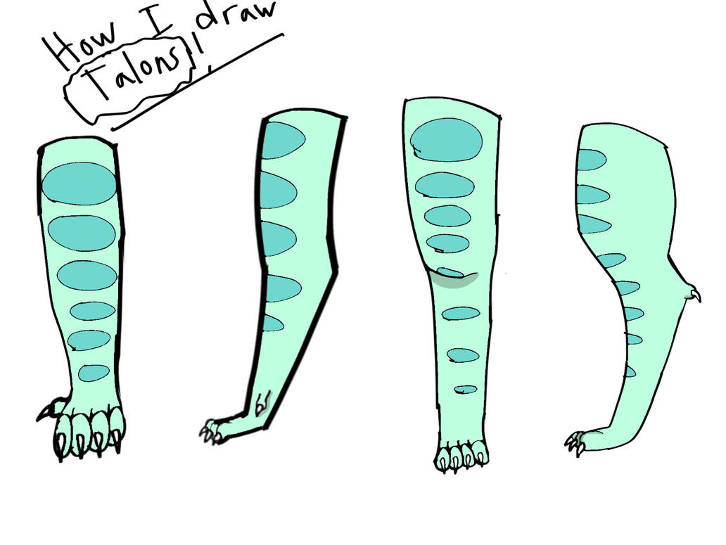 How I draw talons! by BlicketLovesArt on DeviantArt