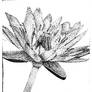 pointillism flower