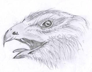 The Eagle