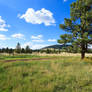 Mountain Pasture Road