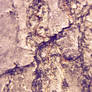 Texture - Wood