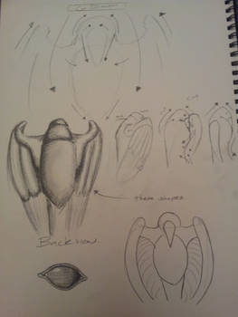 carving tutorial 5