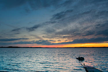 Geese at the lake