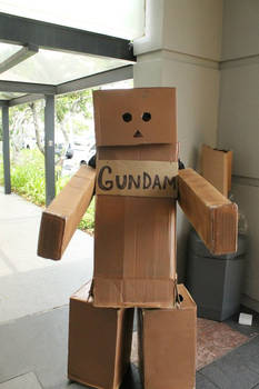 Danbo Cosplay