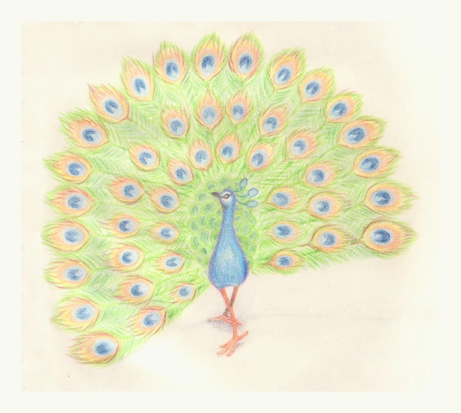 Riikinkukko / Peacock (2016)