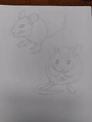 drawing from life 1 - mice