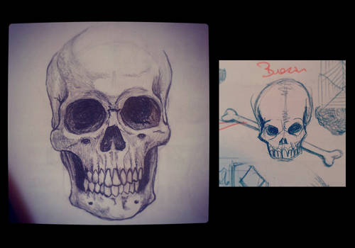 Sketches - skulls