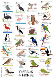 Birds of the world