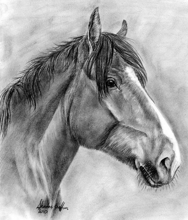 Stryder by farfinmosker on DeviantArt