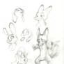 Some Zootopia sketches