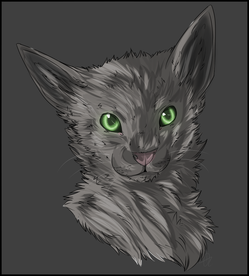 SpeedPaint: Kitteh