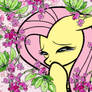 Fluttershy Shoujo Style