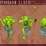 Amphibian Elder