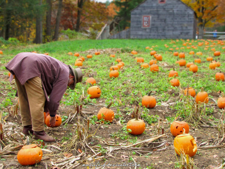 Halloween preparation