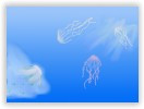 Flying Jellyfish