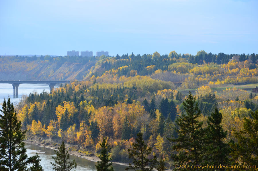 Shades of Autumn