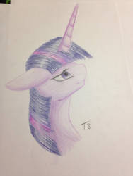 Twilight sparkle