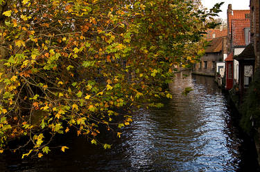 In Bruges.X