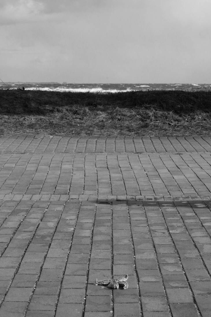 Perished by TheFifthArtofWar on DeviantArt