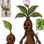 Mandragora