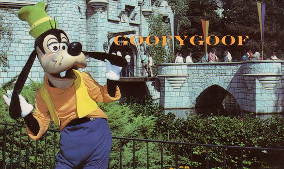 Goofgoof's ID 3