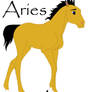 .aries.