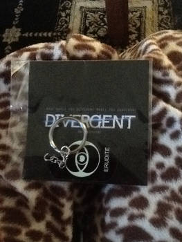 Divergent key ring