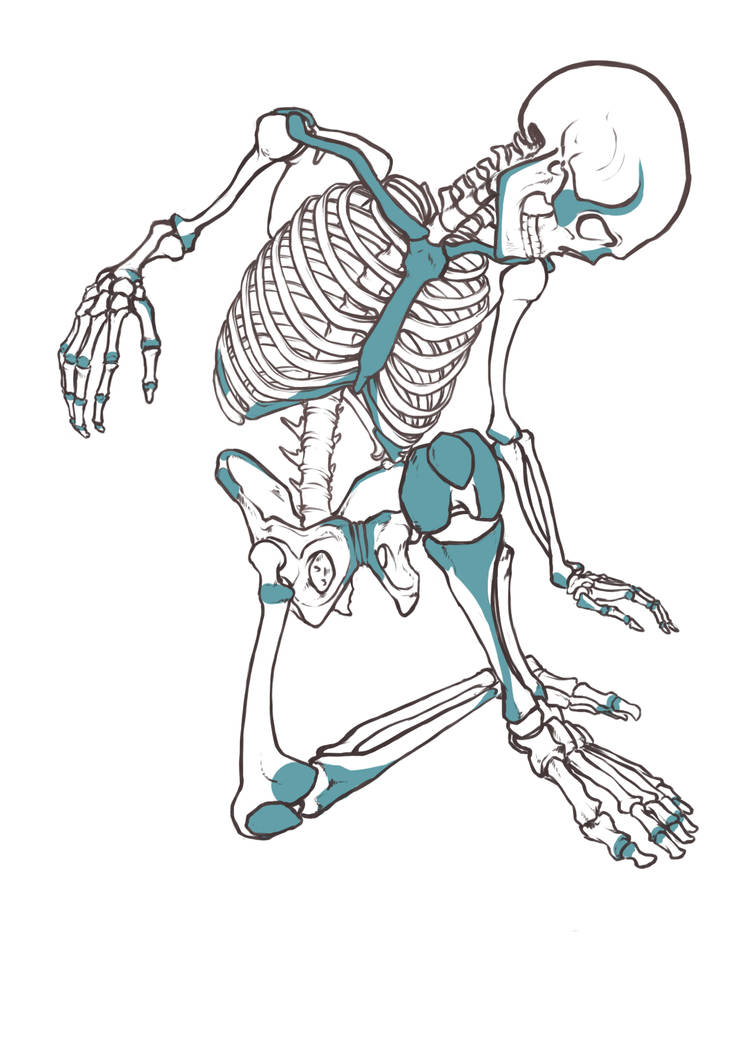 Exo_Structure_Squelette by Lhotu-s on DeviantArt