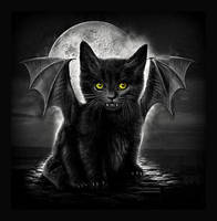 Black Cat Of Darkness