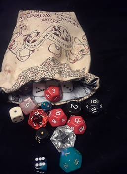 Harry Potter Reversible Dice Bag