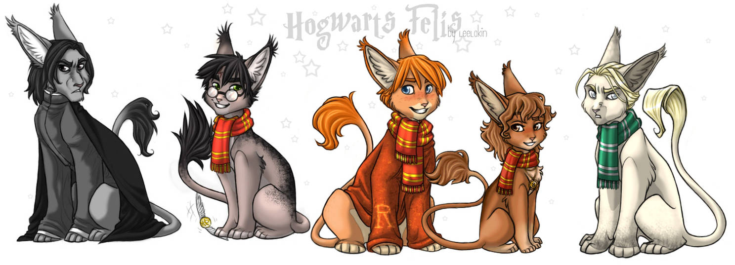 Hogwarts Felis XDD by leelakin