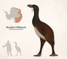 Alternate Antarctica: Offalhawk