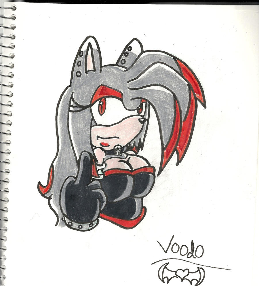 Voodoo the hedgehog