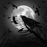 Night of the Nevermore