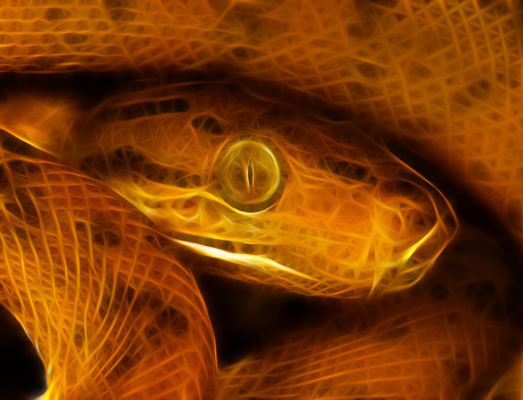 Neon Python by Snakelover95 on DeviantArt