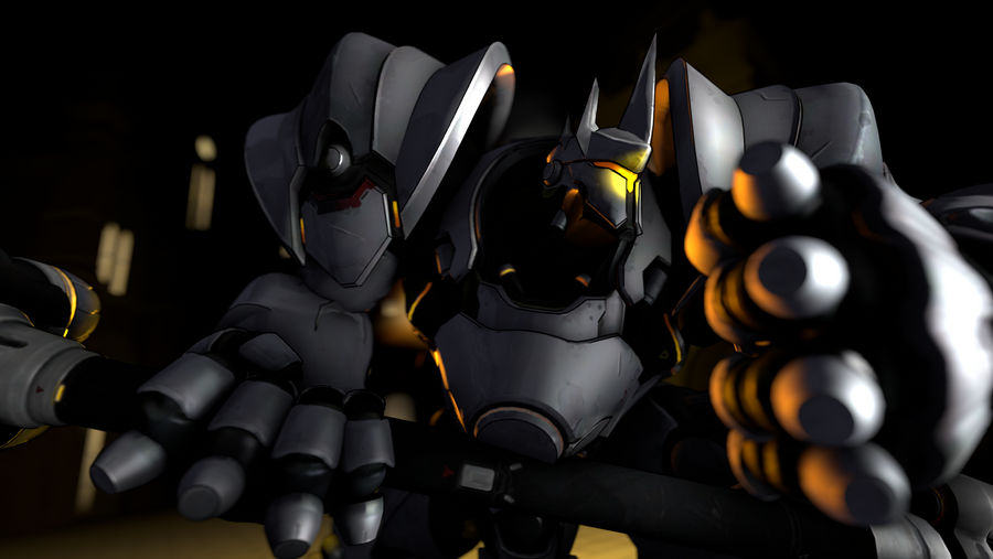 SFM - Reinhardt