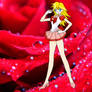 Bishoujo Senshi Sailor Panty