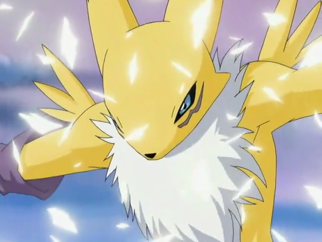 renamon screens