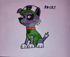 Rocky: Paw Patrol 