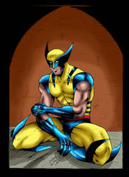 Wolverine