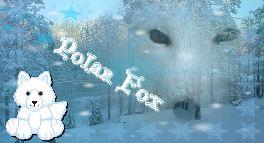 Webkinz-Polar Fox