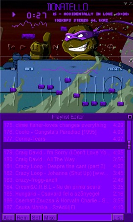 Donatello Winamp Skin